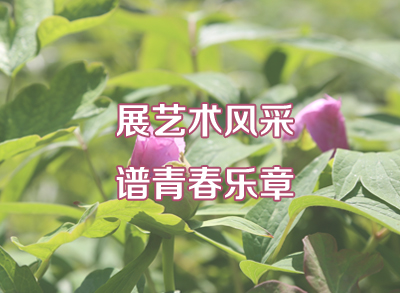 西安交大附中第21届校园文化艺术节